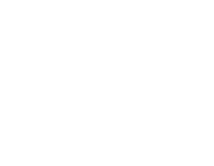 Nationale opera & ballet logo